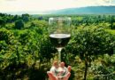 Vini italiani in purezza: i 5 più amati e apprezzati in tutto il mondo